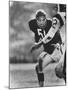 Linebacker for the Bears Dick Butkus-Bill Eppridge-Mounted Premium Photographic Print