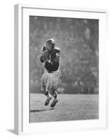 Linebacker for the Bears Dick Butkus-Bill Eppridge-Framed Premium Photographic Print