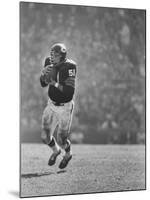 Linebacker for the Bears Dick Butkus-Bill Eppridge-Mounted Premium Photographic Print