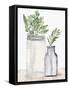 Lined Vase 2-Kimberly Allen-Framed Stretched Canvas