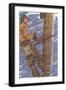 Lineman with Icy Wires-null-Framed Art Print