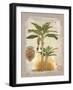 Linen Banana Palm Tree-Chad Barrett-Framed Art Print