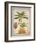 Linen Banana Palm Tree-Chad Barrett-Framed Art Print