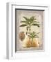 Linen Banana Palm Tree-Chad Barrett-Framed Art Print