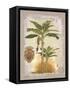 Linen Banana Palm Tree-Chad Barrett-Framed Stretched Canvas