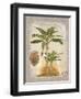 Linen Bannana Palm Tree-Chad Barrett-Framed Art Print