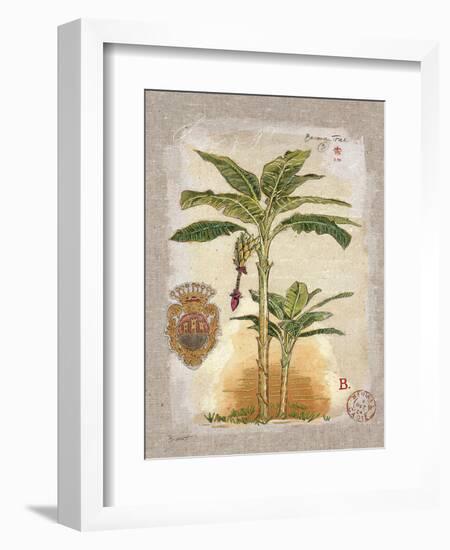 Linen Bannana Palm Tree-Chad Barrett-Framed Art Print