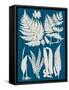 Linen & Blue Ferns I-Vision Studio-Framed Stretched Canvas