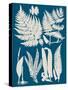 Linen & Blue Ferns I-Vision Studio-Stretched Canvas