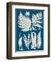 Linen & Blue Ferns I-Vision Studio-Framed Art Print