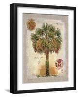 Linen Cabbage Palm Tree-Chad Barrett-Framed Art Print