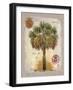 Linen Cabbage Palm Tree-Chad Barrett-Framed Art Print