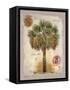 Linen Cabbage Palm Tree-Chad Barrett-Framed Stretched Canvas