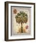 Linen Cabbage Palm Tree-Chad Barrett-Framed Art Print