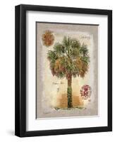 Linen Cabbage Palm Tree-Chad Barrett-Framed Art Print