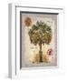 Linen Cabbage Palm Tree-Chad Barrett-Framed Art Print