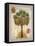 Linen Cabbage Palm Tree-Chad Barrett-Framed Stretched Canvas