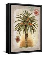 Linen Date Palm Tree-Chad Barrett-Framed Stretched Canvas