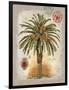 Linen Date Palm Tree-Chad Barrett-Framed Art Print