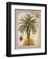 Linen Date Palm Tree-Chad Barrett-Framed Art Print