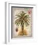 Linen Date Palm Tree-Chad Barrett-Framed Art Print