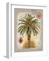 Linen Date Palm Tree-Chad Barrett-Framed Art Print