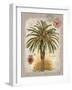 Linen Date Palm Tree-Chad Barrett-Framed Art Print