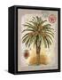 Linen Date Palm Tree-Chad Barrett-Framed Stretched Canvas