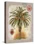 Linen Date Palm Tree-Chad Barrett-Stretched Canvas