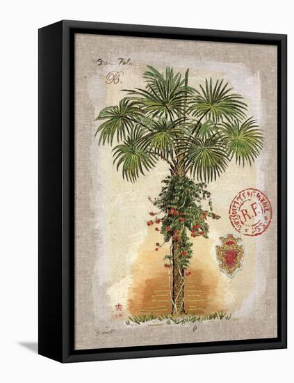 Linen Fan Palm Tree-Chad Barrett-Framed Stretched Canvas