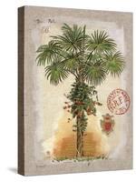 Linen Fan Palm Tree-Chad Barrett-Stretched Canvas