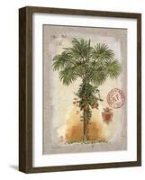 Linen Fan Palm Tree-Chad Barrett-Framed Art Print