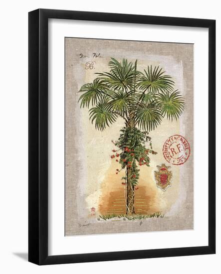 Linen Fan Palm Tree-Chad Barrett-Framed Art Print