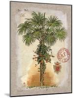 Linen Fan Palm Tree-Chad Barrett-Mounted Art Print