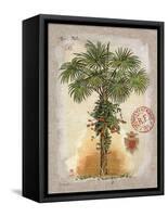 Linen Fan Palm Tree-Chad Barrett-Framed Stretched Canvas