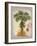 Linen Fan Palm Tree-Chad Barrett-Framed Art Print