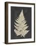 Linen Fern I-Vision Studio-Framed Art Print