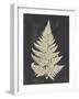 Linen Fern I-Vision Studio-Framed Art Print