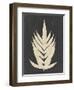 Linen Fern II-Vision Studio-Framed Art Print