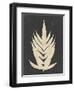 Linen Fern II-Vision Studio-Framed Art Print