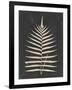 Linen Fern III-Vision Studio-Framed Art Print