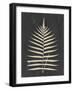 Linen Fern III-Vision Studio-Framed Art Print