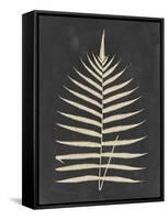 Linen Fern III-Vision Studio-Framed Stretched Canvas