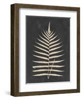 Linen Fern III-Vision Studio-Framed Art Print