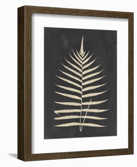 Linen Fern III-Vision Studio-Framed Art Print