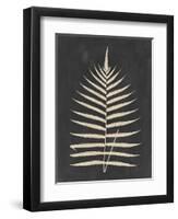 Linen Fern III-Vision Studio-Framed Art Print