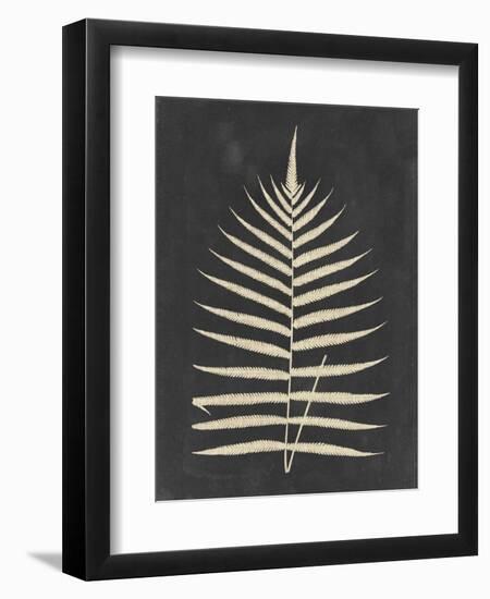 Linen Fern III-Vision Studio-Framed Art Print