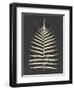 Linen Fern III-Vision Studio-Framed Art Print