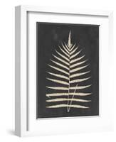 Linen Fern III-Vision Studio-Framed Art Print