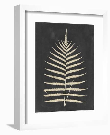 Linen Fern III-Vision Studio-Framed Art Print